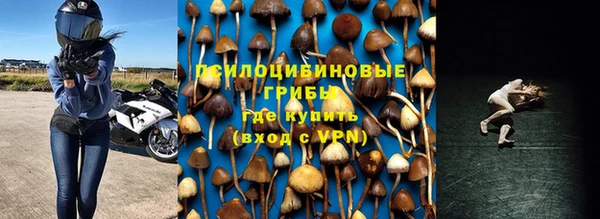 скорость Алзамай