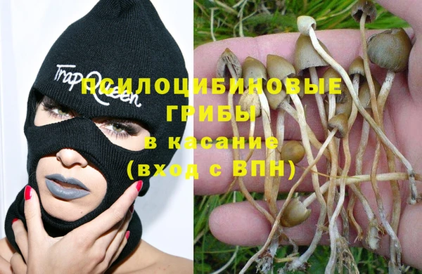 ГАЛЛЮЦИНОГЕННЫЕ ГРИБЫ Алексин